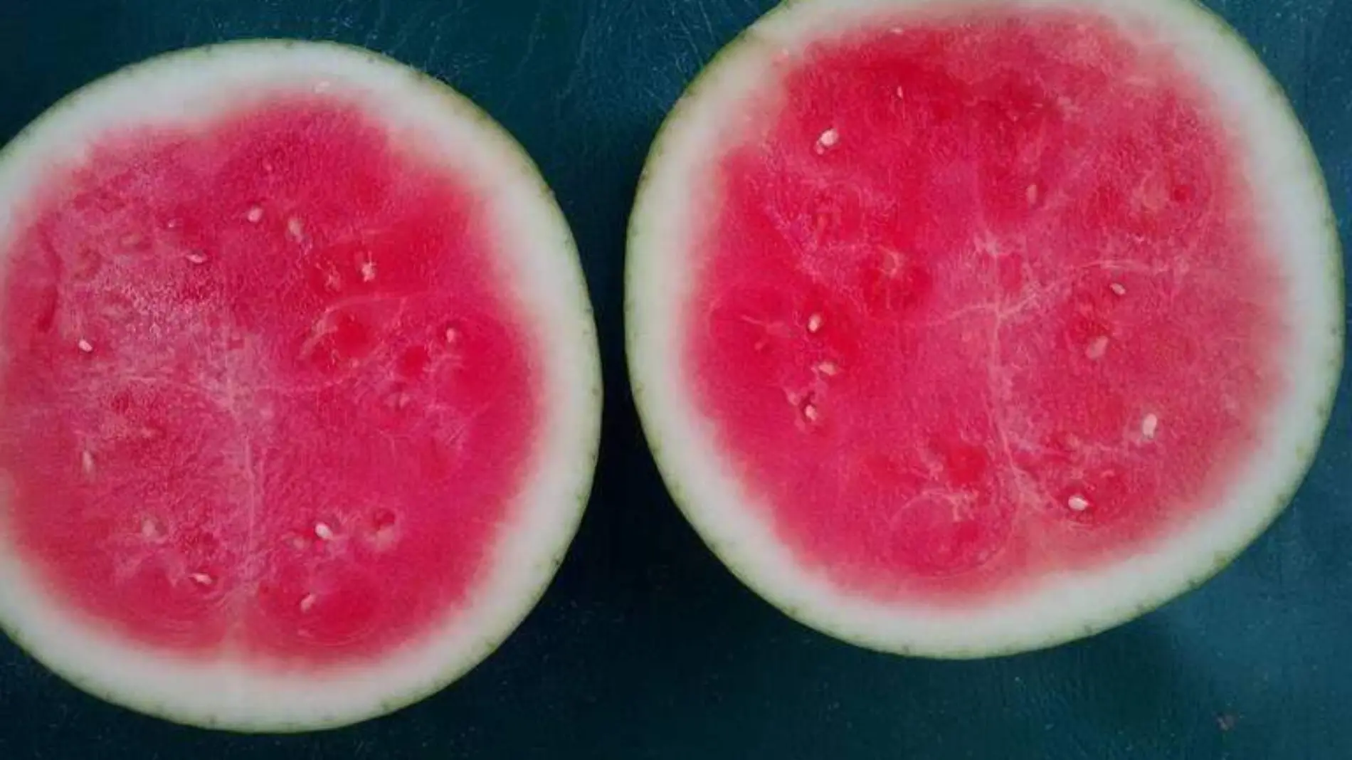 Sandía fruta de temporada de verano